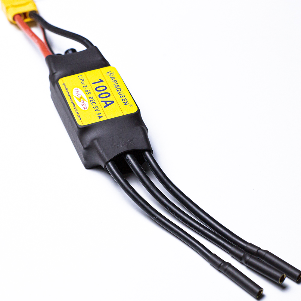 ApisQueen su altı 100A Fırçası - Rc Boat Brushless Motor incelemesi ve fiyatı